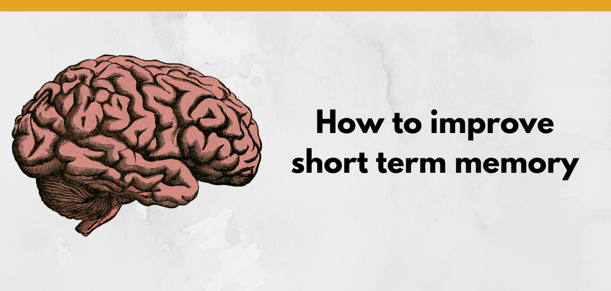 How To Improve Short Term And Long Memory - Englishsalt2